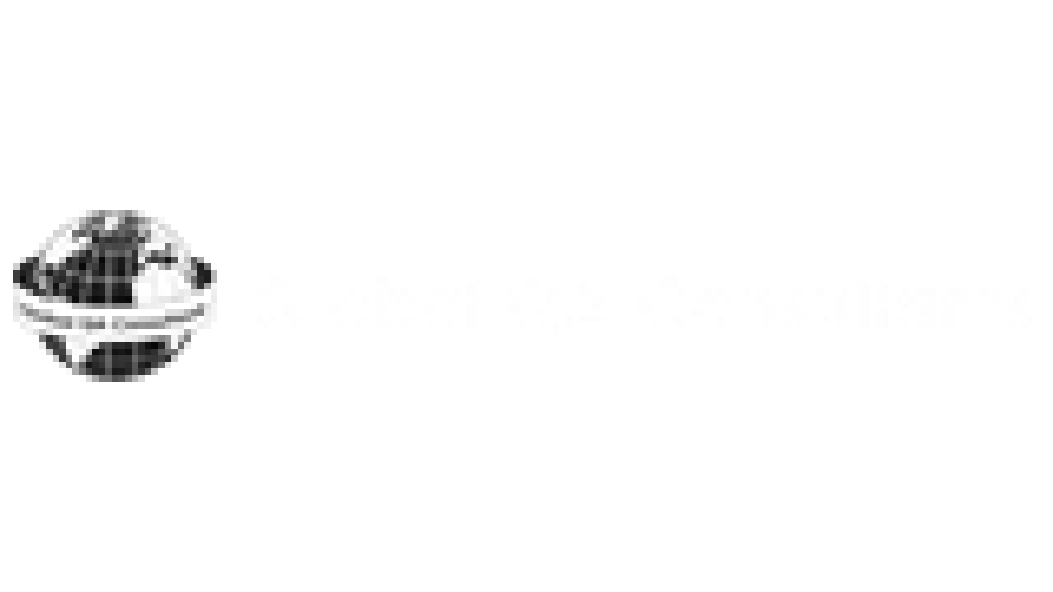 Global QA consultants
