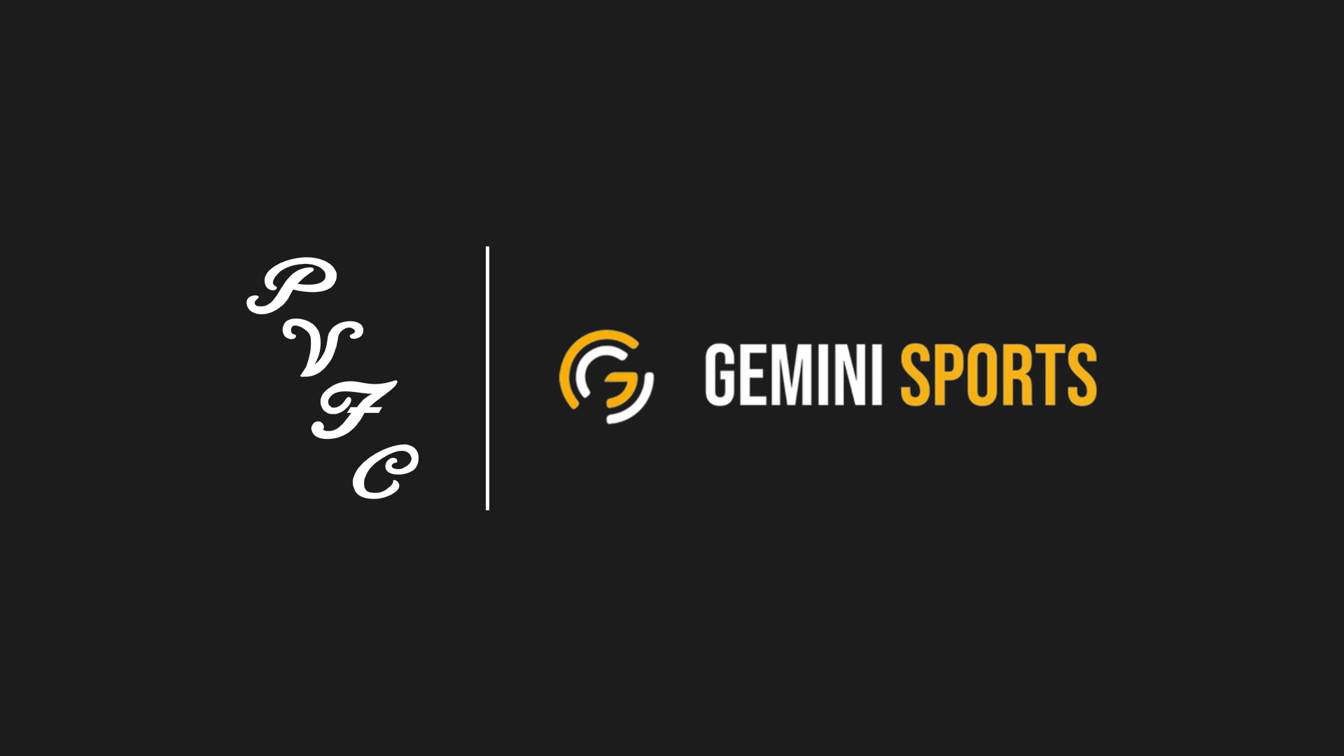 Gemini Sports